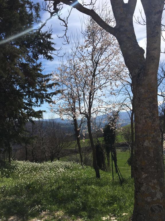 Tenuta Ca'gione Smirra